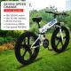 26 Inch 2 Wheel Drive Electric Bike Soft Tail Frame