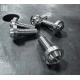 INCA Titanium Alloy Screws Ten Pieces MOC For Breakout / Softail Series（For Rear Disc）