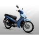 Brazil hot selling product for cheap sale 110cc cub mini motorbike