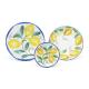 Personalized Ceramic Dinner Plates Spring Colorful Plates With Flower