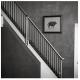 Industrial Safety Stair Railing Wall Mounted Corrosion Proof Low Maintenance