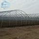 galvanized steel pipe Single-Span Film Commercial Tunnel Plastic Greenhouse for agriculture plants growing