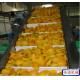                  CE Electric Motor Incline PU Belt Conveyor for Fresh Fruit             