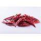 Zero Additive Tianjin Red Chilies Stick Shape Pungent  Red Dried Chiles
