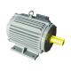 Electrico 380v Squirrel Cage Induction Motor 3 Phase High Voltage
