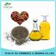Wholesale Chinese Traditional Herbal Extract Perilla Fretescens Oil Extraction