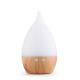 160ml USB Mini Air Humidifier Aroma Essential Oil Fragrance Perfume Diffuser for Aromatherapy
