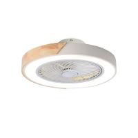 Residential Dimmable Light Ventilador De Teto Decorative Remote Control Acrylic Modern Led Wood Ceiling Fan