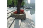 Travel in Youth Lake Park  Jining of China