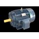 Industrial Three-Phase Induction Motor IP55 Protection F Level
