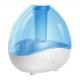 HOMEFISH OEM ODM Large Capacity Home Room Humidifiers Ultrasonic Sterilize