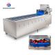 240KG Supply bubble cleaning machine multi-functional vegetable washing machine vegetable leaves and fruits cleaning