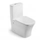Modern White Ceramic One Piece Toilet Floor Mounted P Trap S Trap Dual Flush Elongated