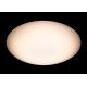 Eye Protection WIFI Ceiling Light , 2800 - 6000K Ceiling WIFI Controlled Lights