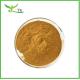 Pure Ginkgo Biloba Plant Extract Powder Flavones 24% Lactones 6% Ginkgo Biloba Leaf Extract