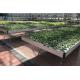 Hydroponics Ebb And Flow Rolling Benches Greenhouse Plant Trays UV Protection