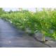 Professional Agriculture Non Woven Fabric Color Customised For Weed Control Mat