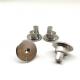 Eccentric Adjustment Stainless Steel Screw 4.5mm Shank Length And Thread Length