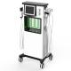 Microdermabrasion beauty Oxygen Hydrafacial Machine Water Carbon Ce Approve