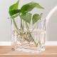 Transparent 350ml Home Decoration Glass Pressed Small Rectangle Glass Vase