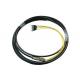 6 Core Optical Fiber Pigtail Waterproof Ribbon Optical Fiber Cable For Networks