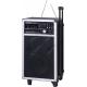 120W Wireless Mobile PA Amplifier with DVD Player