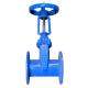 Y Type Large Diameter Valve Ductile Iron Soft Sealing Flange Gate Valve Z41X-16Q DN300