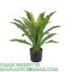 Customized High Quality High Destiny Artificial Nest Fern Tree Plant Independent-Design Ornamental Artificial