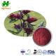 Roselle Hibiscus Flower Extract 10:1 0.5%-25% Anthocyanidins Powder