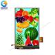 5 LCD Resistive Touch Screen Display Module 480x854 dots 400nits Backlight