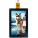 300 Nits Industrial LCD Screen 8 Inch Capacitive Touch Screen Panel 800*1280 Pixels