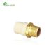 Nb-Qxhy ASTM 2846 CPVC Fittings Male Adapter with Thread Connection and Brass Thread