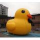 Advertising Inflatable Model with yellow duck model