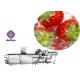 Auto Vegetable Fruit Washing Machine Salad Spinach Strawberry Cleaning