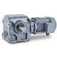 Compact Single Stage Speed Helical Gear Reducer Motor OEM
