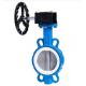 Diaphragm Structure 4 Inch Wafer Center Butterfly Valve Manual Handle for OEM Support