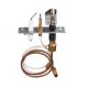 Gas Heater Thermocouple Pilot group from China factory