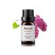 Soothing Moisturizing Pure Essential Oils Anti Inflammatory Clove Essential Oil