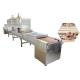 Tunnel SS Type Microwave Wood Drying Machine Low Energy 80KW Power