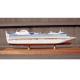 Scale 1：900 Fine Princess Cruise Ship Models , Container Ship Model With ABS
