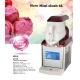 6LX1 NEW Slush machine-Granita Dispenser-Ice cream maker-mini juicer-3IN1 Mini cool ( ICE6