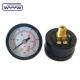 1/8 1/4 threaded connection 16 bar water pressure gauge manometer price