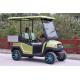 48V Battery Voltage And 1 Seat Electrical Golf Cart With CE Certificate
