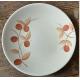 Hand painted Dinner Plate