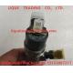 INJECTOR 0445110454 Common rail injector 0 445 110 454 , 0445 110 454 Genuine and New