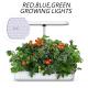 Water tank capacity 4L Smart Indoor Garden hydroponic Garden Planter led growth light