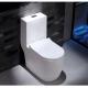 Dual Flush Washdown Siphonic One Piece Toilet Models P Trap S Trap