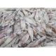 Frozen Loligo Squid Whole Round Bqf Chinese Ocean Vessels Freshness No Additives