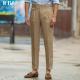 Men's Pants Cropped Pants Waisted Summer Style Linen Thin Casual Suit Trousers Woven