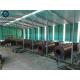 Huge Profit Waste Tire Tyre Plastic Recycling Production Line To Fuel Oil
